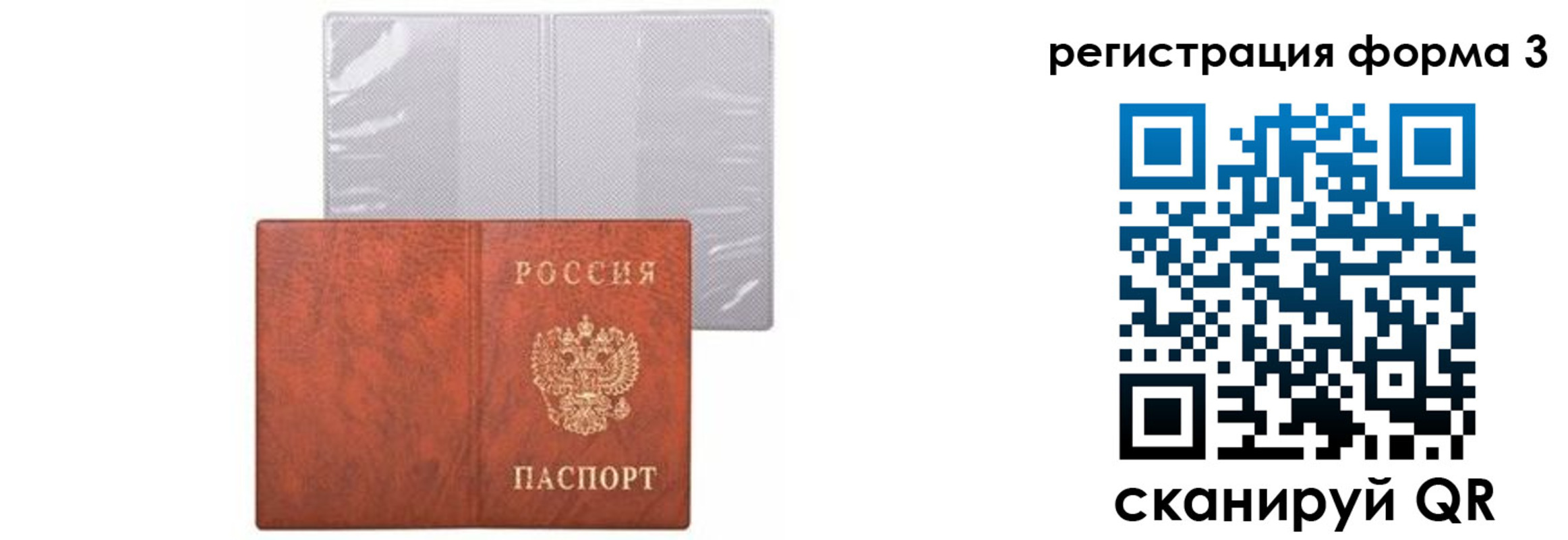 прописка 2025 в Богучаре